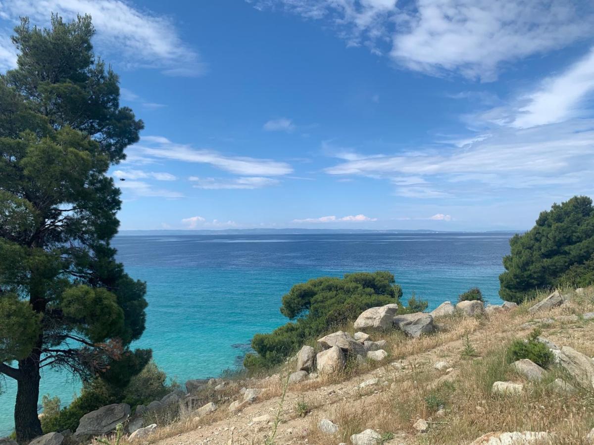 Niovi Villas Nikiti  Buitenkant foto
